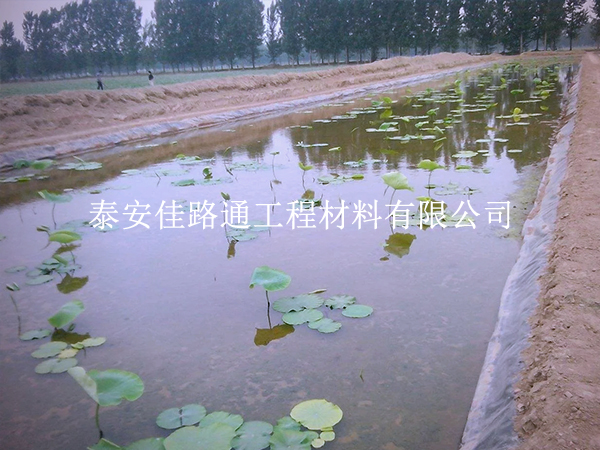 养殖防渗膜延伸率不足？根源在这些地方